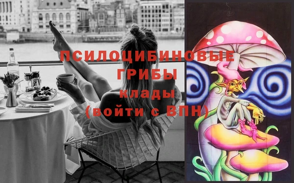 2c-b Зерноград
